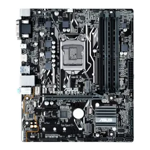 Asus Prime B250M-A/CSM