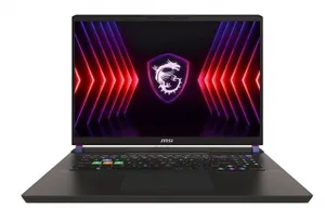 MSI Vector HX A14VIG-879XTRW11 Intel Core i9-14900HX 48GB RAM 17.0 İnç