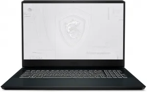 MSI WE76 11UM-462TR Intel Core i9-11980HK 64GB RAM 17.3 İnç