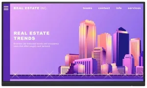 Dell P2222HWOS (Standsız)