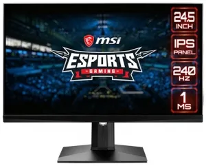 MSI Optix MAG251RX