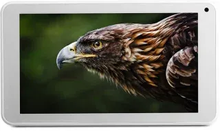 Everest EverPad DC-1112 512MB RAM 8GB