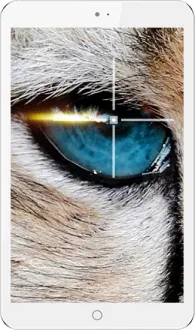 Reeder A8i Quad 1GB RAM 16GB