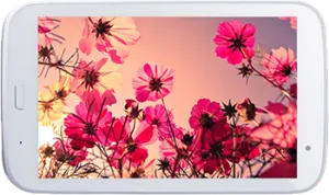 Codegen Quantum 4 2GB RAM 16GB