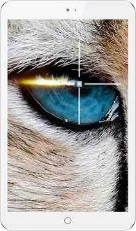 Reeder A8i Quad 1GB RAM 16GB