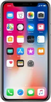 Apple iPhone X 3GB RAM 256GB