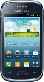 Samsung Galaxy Young 768MB RAM 4GB
